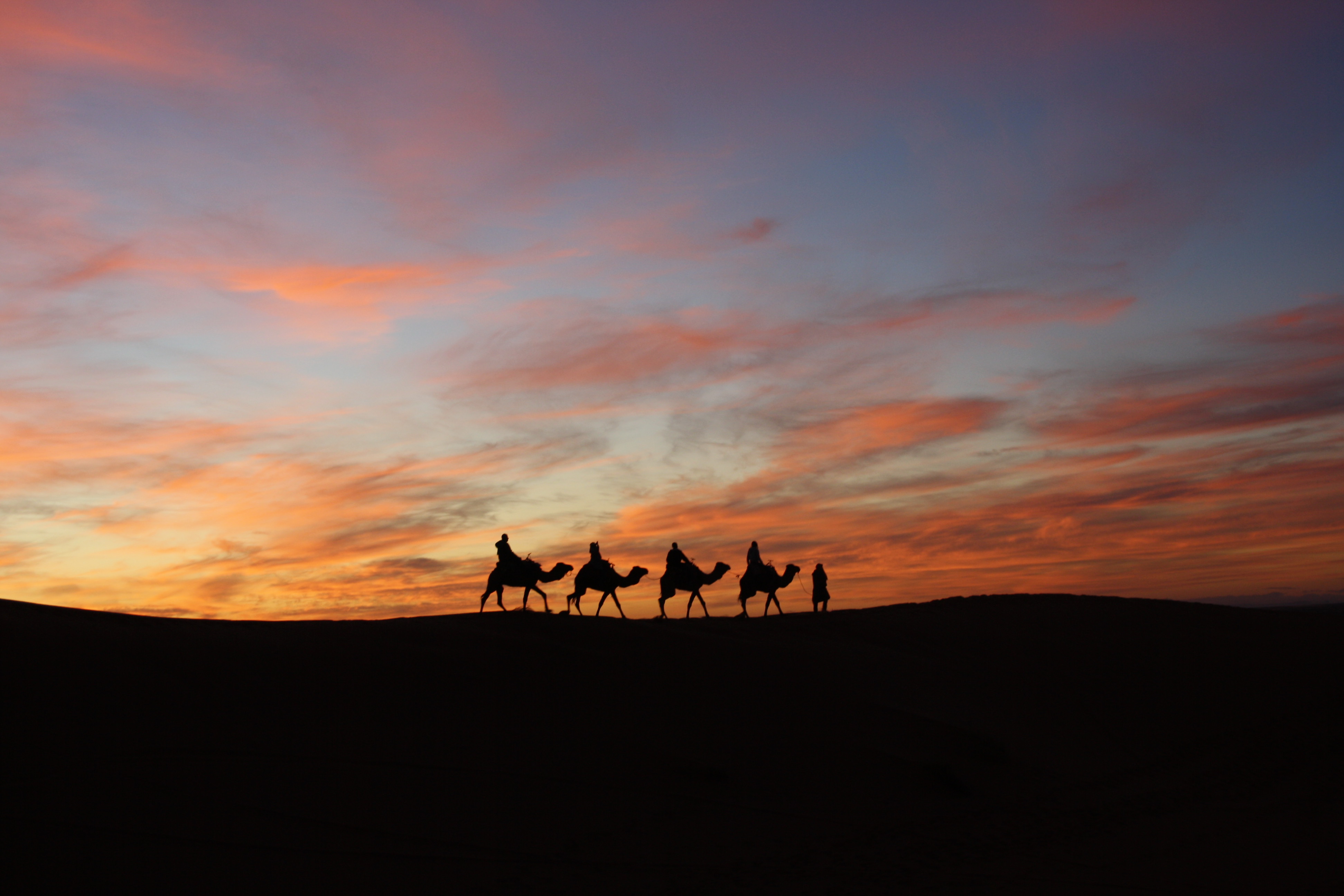 camel ride at sunset